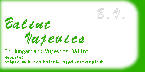 balint vujevics business card
